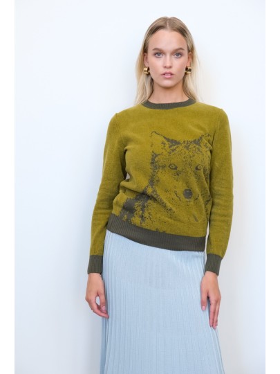 Green sweater wolven 22