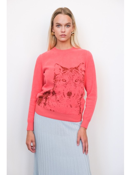 Pink sweater wolven 22