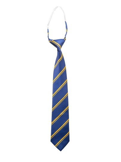 IST tie blue