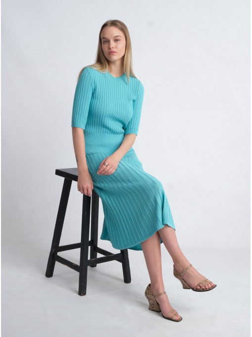 Riini helesinine seelik