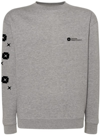 TORG Sweatshirt Grey-melange design 1