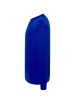 Tamsalu Noorte pusa / Royal-blue