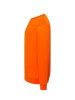 Noorte pusa / Orange