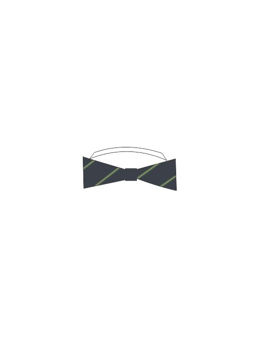 Bow tie KUG / Navy blue + yellow